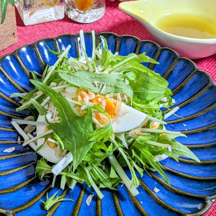 水菜と乾燥えびのサラダ〜柚子胡椒ドレッシングで〜